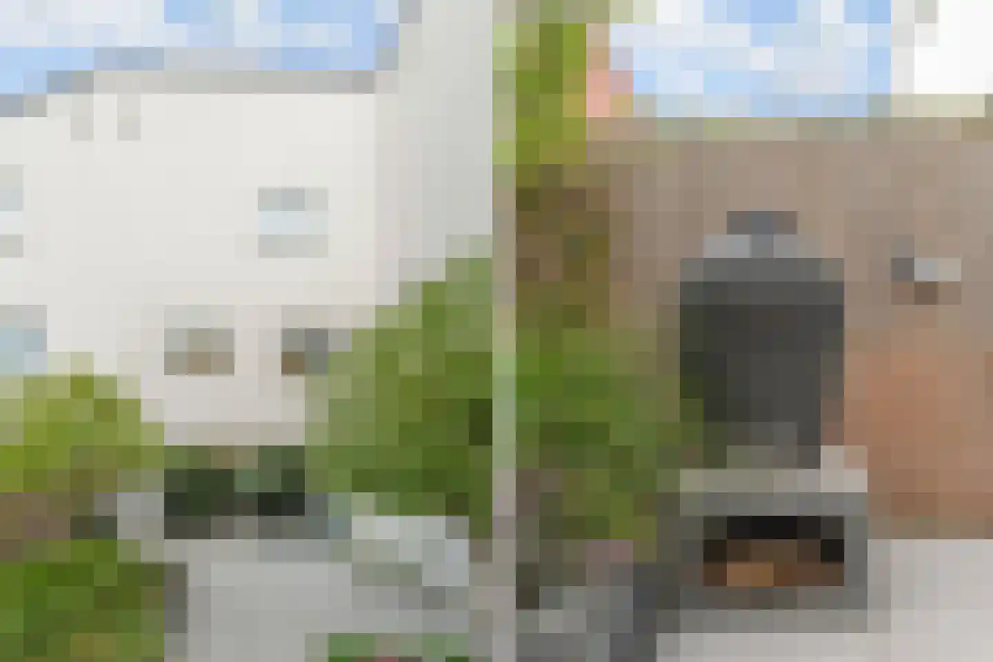 Wisselstraat 2 Utrecht thumbnail 33