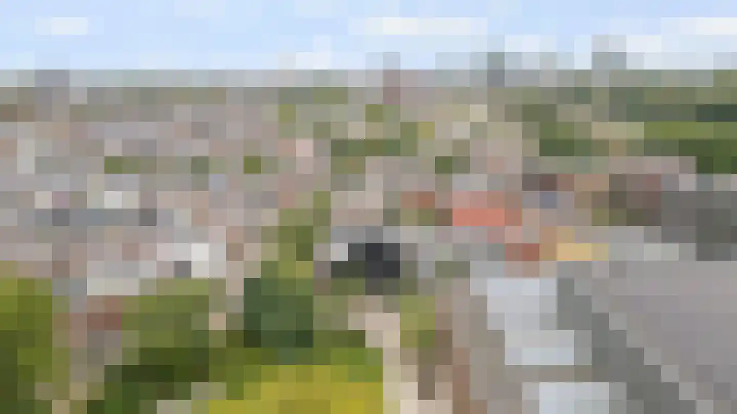 Wisselstraat 2 Utrecht thumbnail 37
