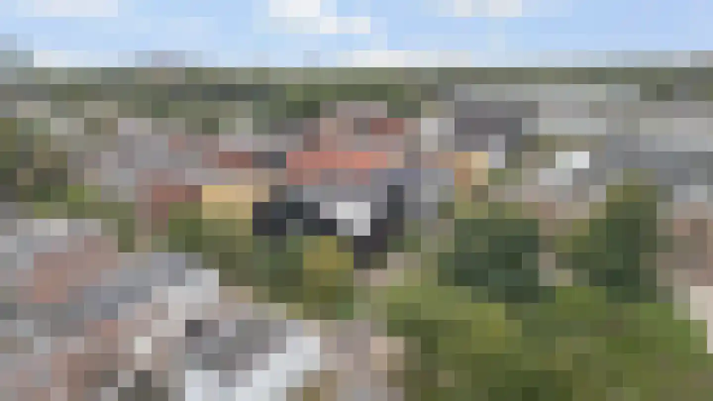 Wisselstraat 2 Utrecht thumbnail 38