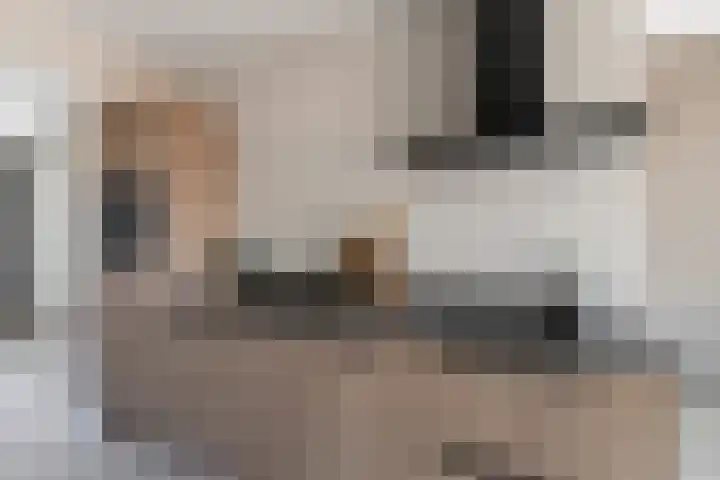 Wisselstraat 48 Utrecht thumbnail 10
