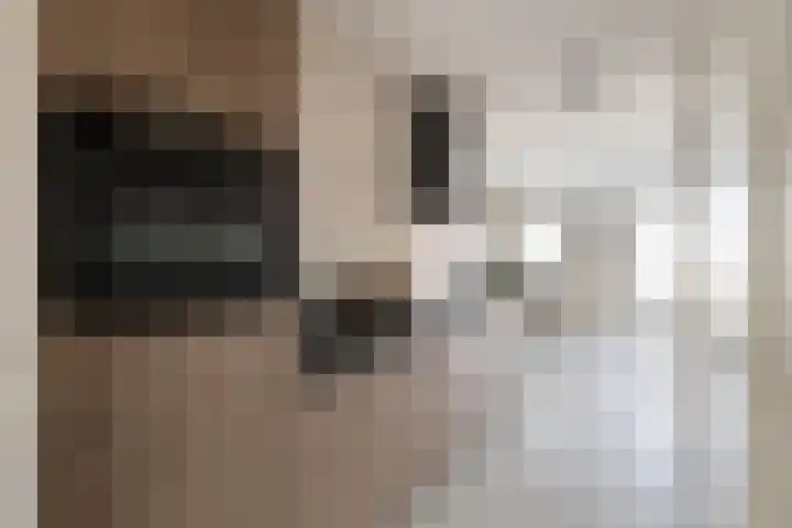 Wisselstraat 48 Utrecht thumbnail 11