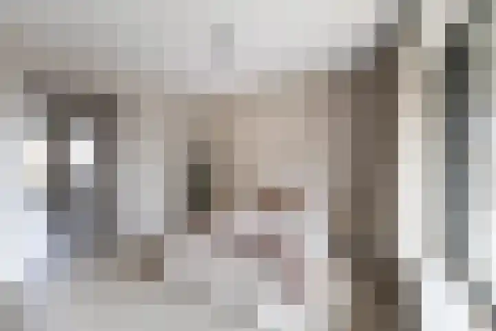 Wisselstraat 48 Utrecht thumbnail 12