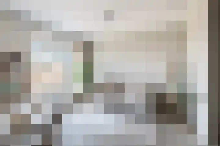 Wisselstraat 48 Utrecht thumbnail 6
