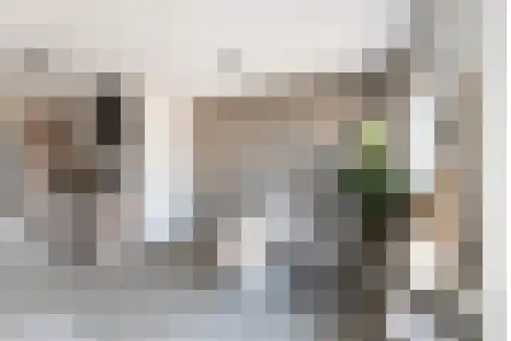 Wisselstraat 48 Utrecht thumbnail 7