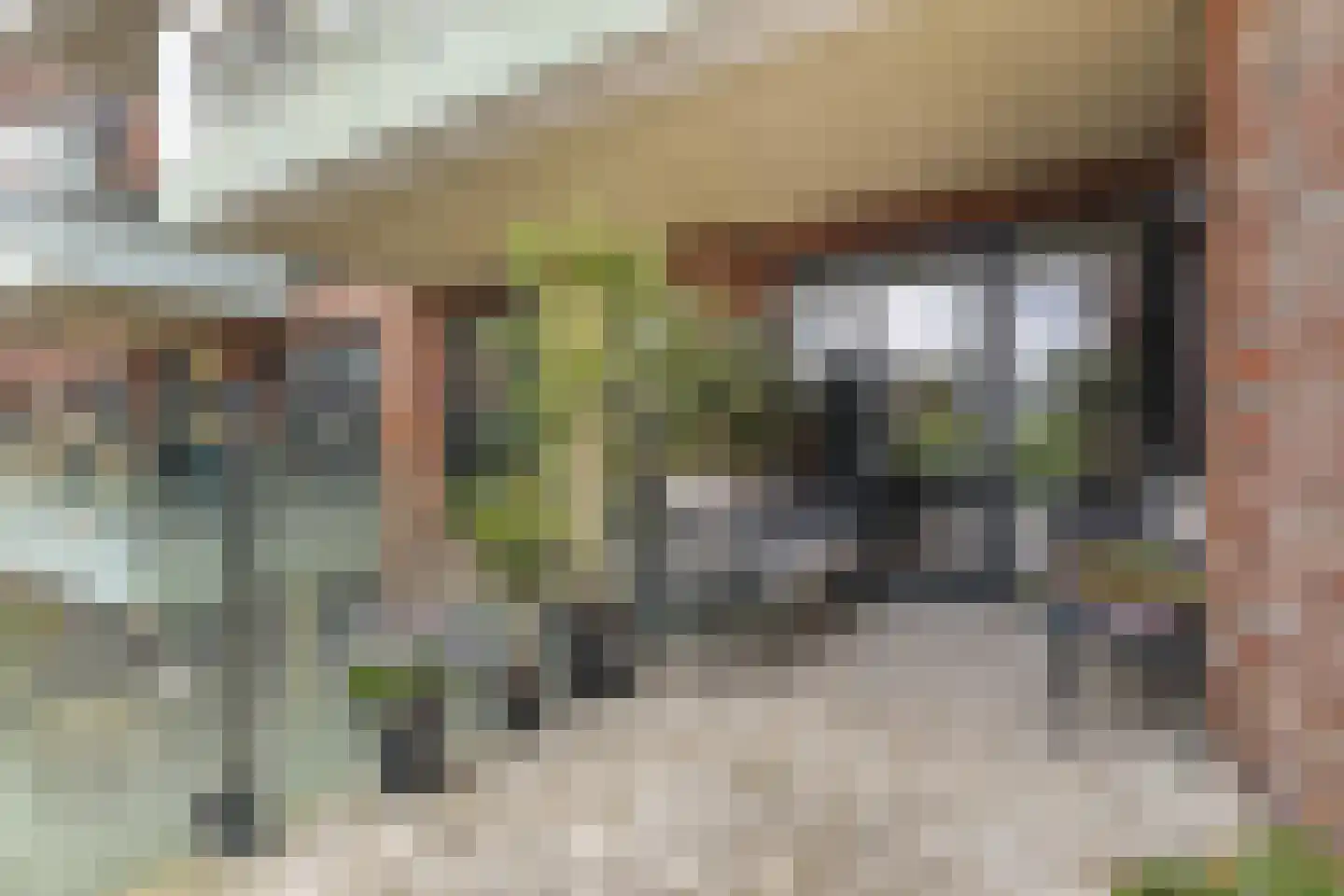 Wisselstroom 35 Amstelveen thumbnail 15