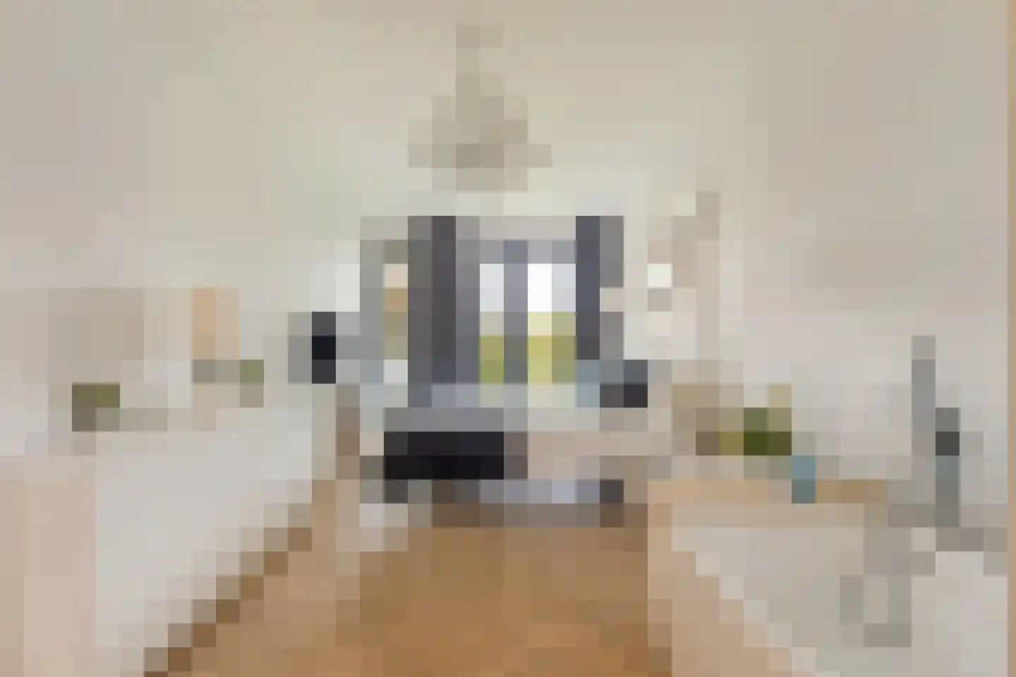 Wisselstroom 35 Amstelveen thumbnail 17