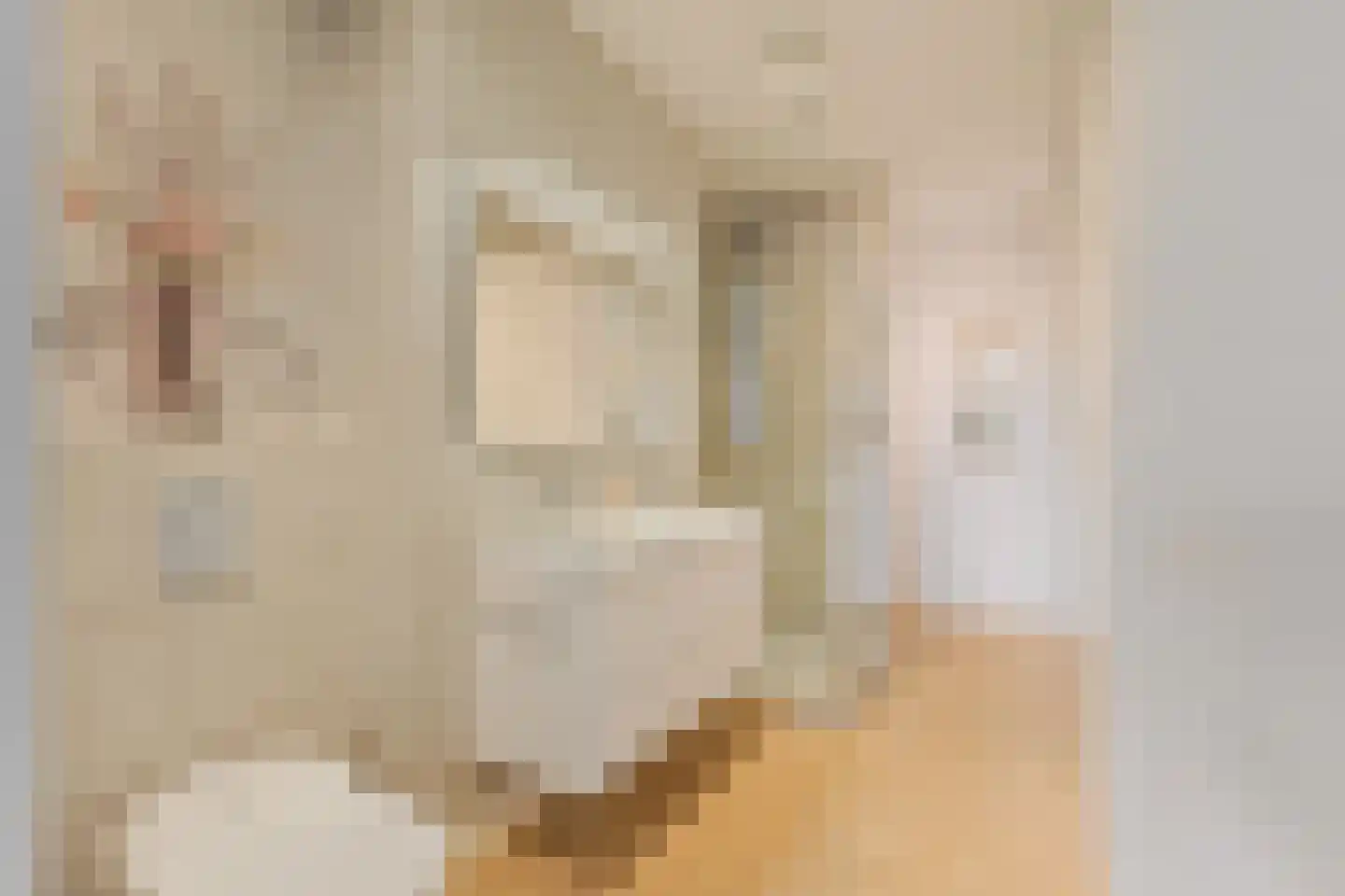 Wisselstroom 35 Amstelveen thumbnail 20