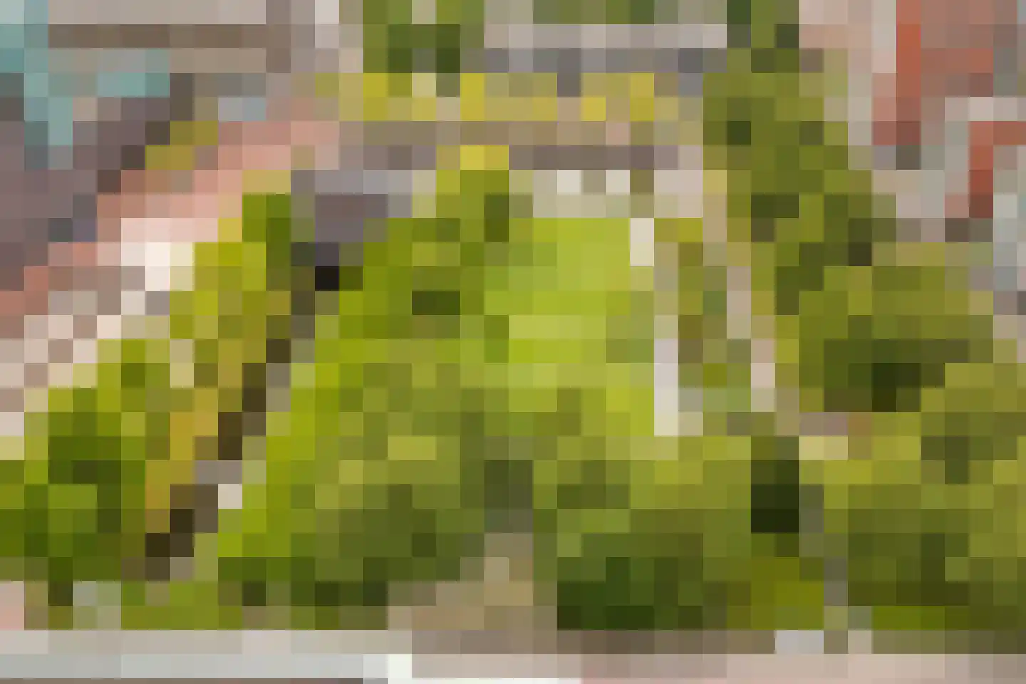 Wisselstroom 35 Amstelveen thumbnail 35