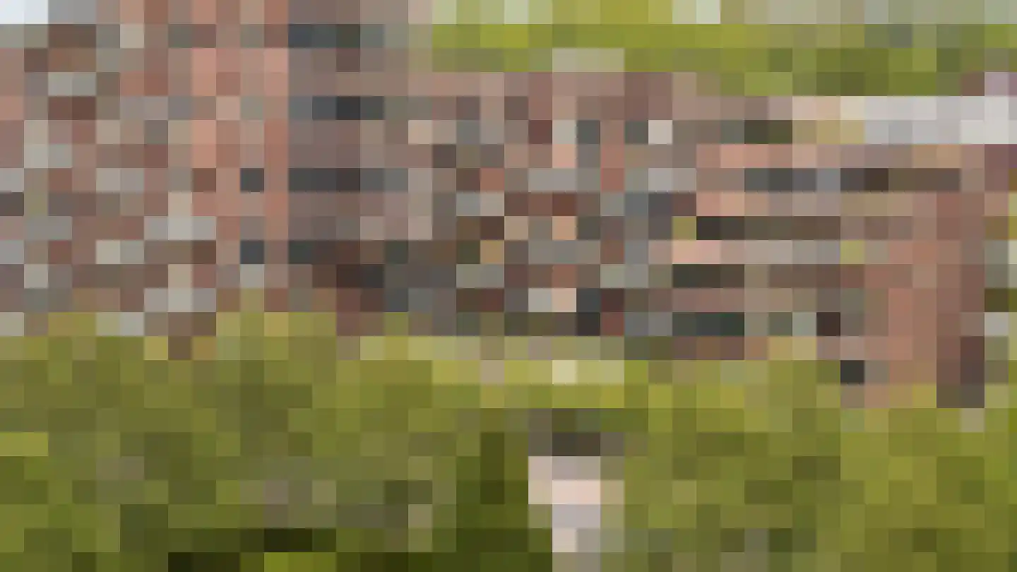 Wisselstroom 35 Amstelveen thumbnail 35