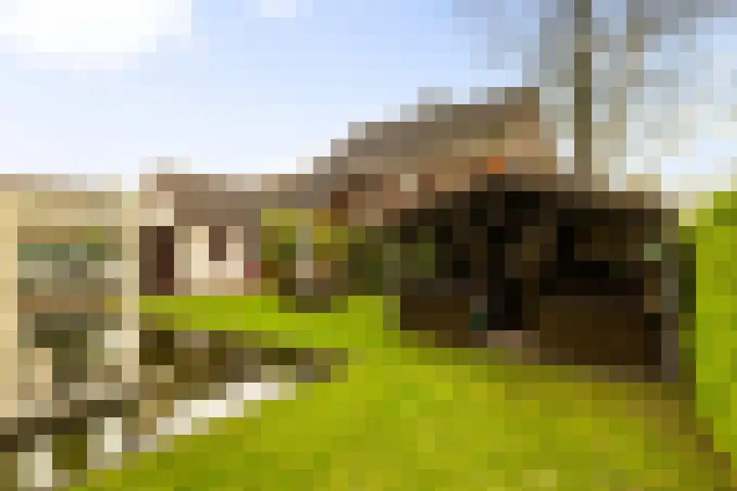 Wisselt 34 Zelhem thumbnail 11