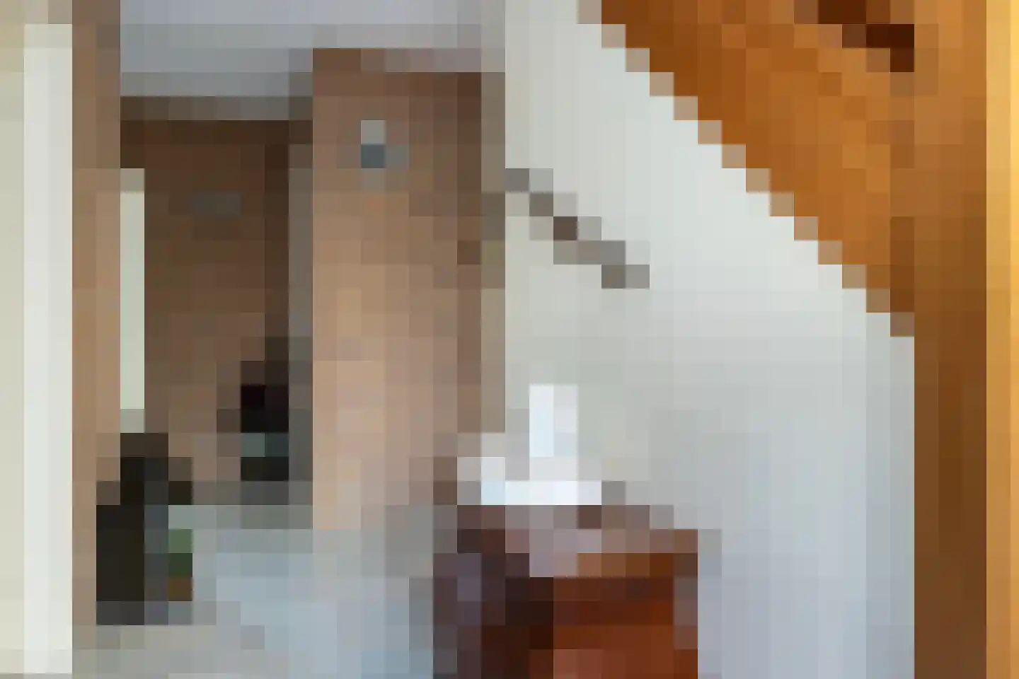 Wisselt 34 Zelhem thumbnail 16