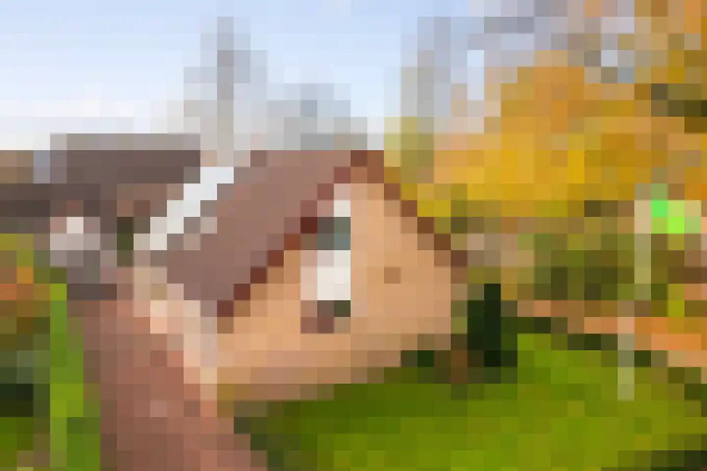 Wisselt 34 Zelhem thumbnail 5