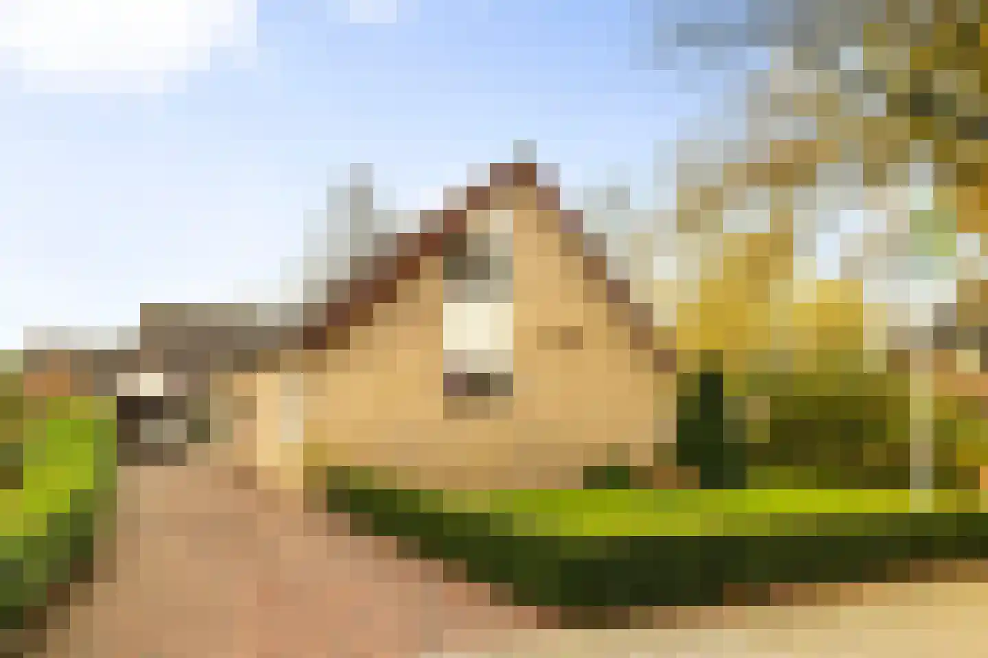 Wisselt 34 Zelhem thumbnail 8