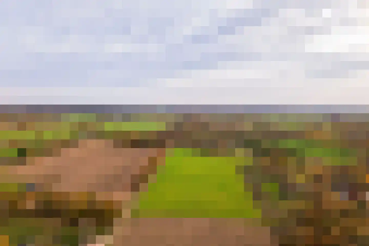 Wisselt 34 Zelhem thumbnail 9