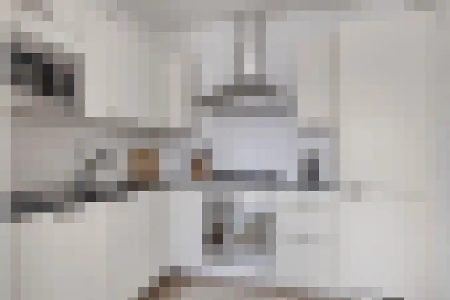 Wisselwachter 24 Assendelft thumbnail 10