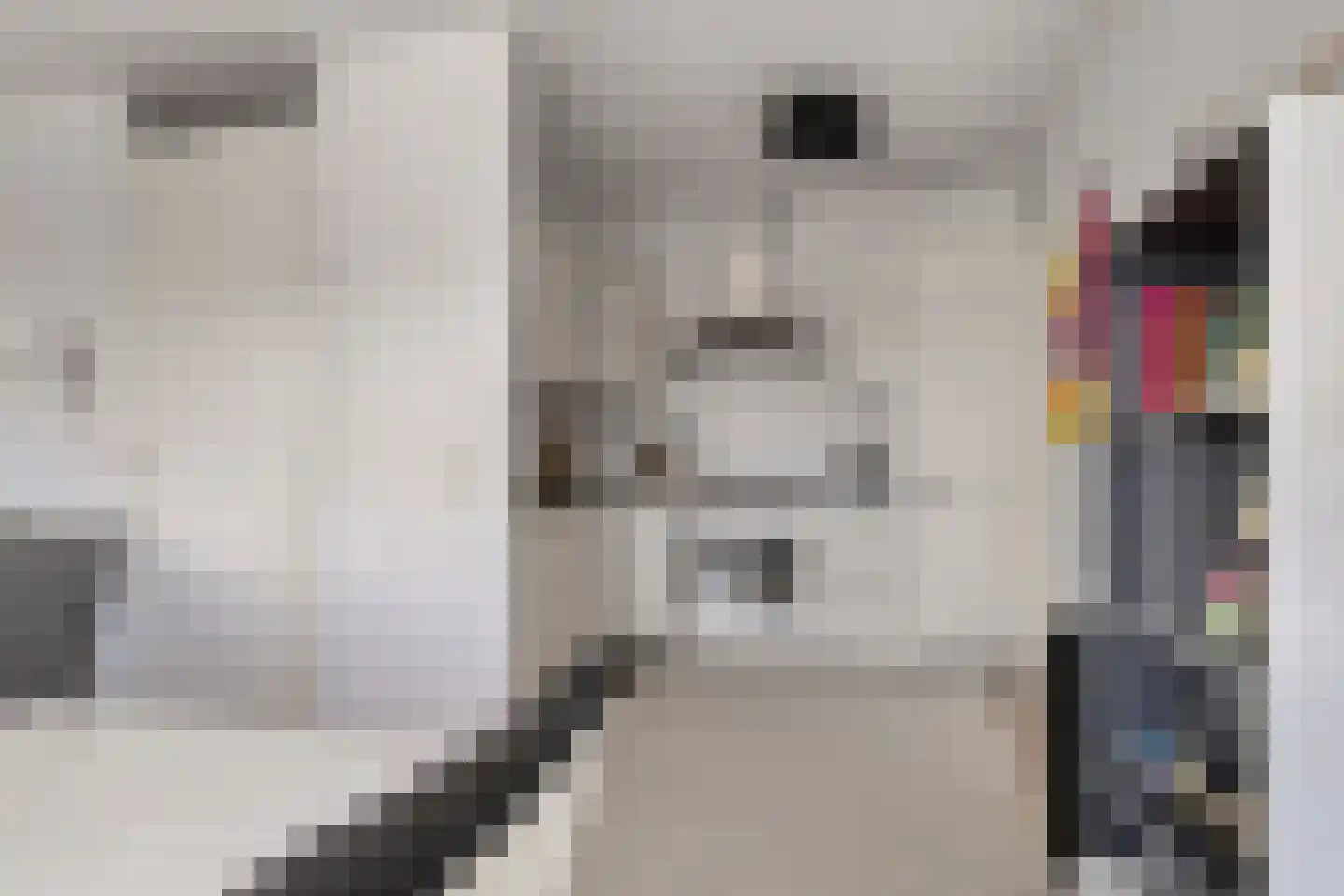 Wisselwachter 24 Assendelft thumbnail 12