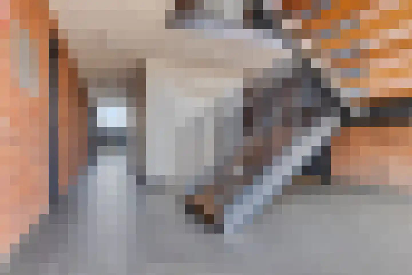 Wisselwachter 24 Assendelft thumbnail 23