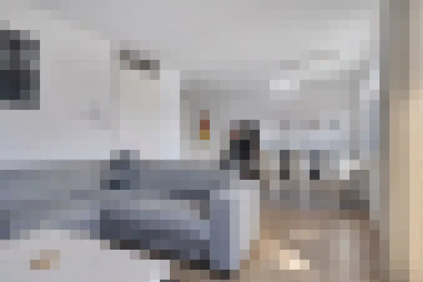 Wisselwachter 24 Assendelft thumbnail 8
