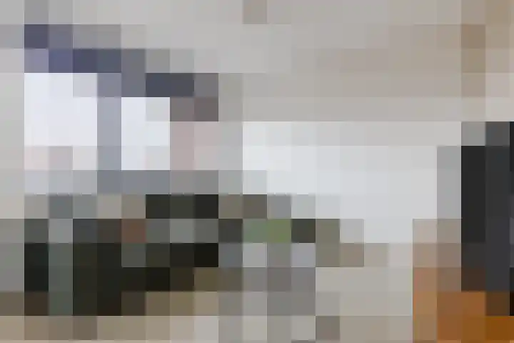 Wisselwachter 37 Assendelft thumbnail 13