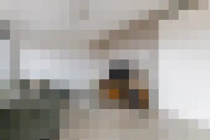 Wisselwachter 37 Assendelft thumbnail 14