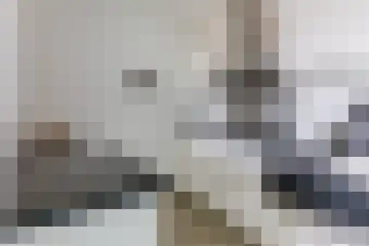 Wisselwachter 37 Assendelft thumbnail 20