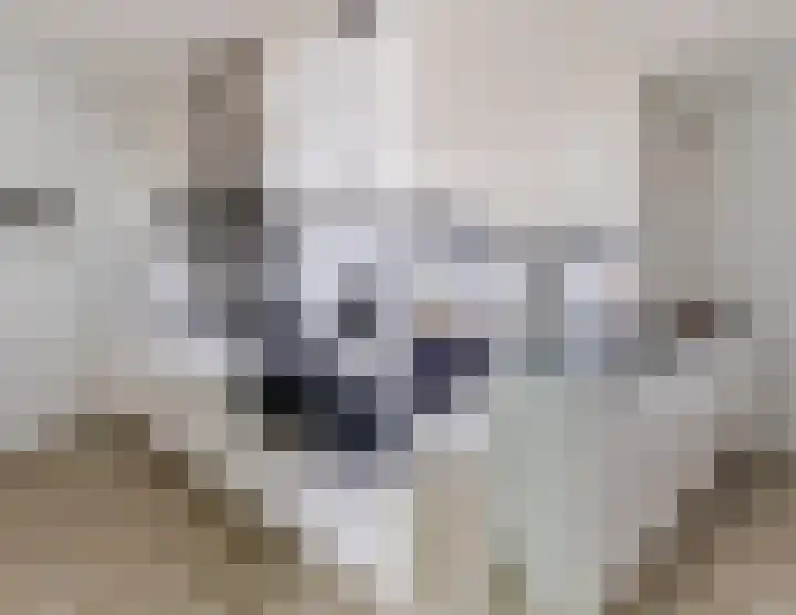 Wisselwachter 37 Assendelft thumbnail 22