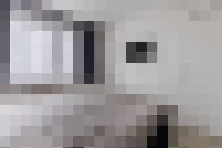 Wisselwachter 37 Assendelft thumbnail 23