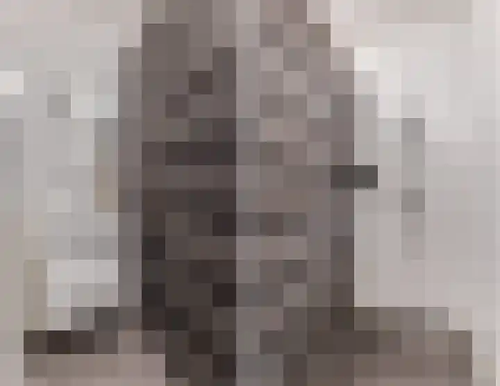 Wisselwachter 37 Assendelft thumbnail 29