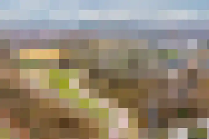 Wisselwachter 37 Assendelft thumbnail 45