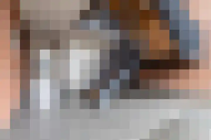 Wisselwachter 37 Assendelft thumbnail 7