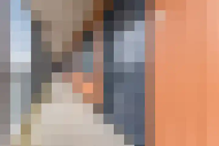 Wisselwachter 37 Assendelft thumbnail 9