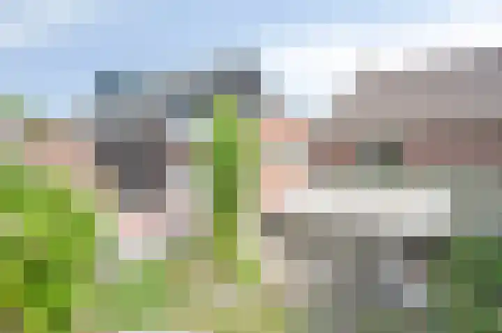 Wissengrachtweg 19 Hulsberg thumbnail 38