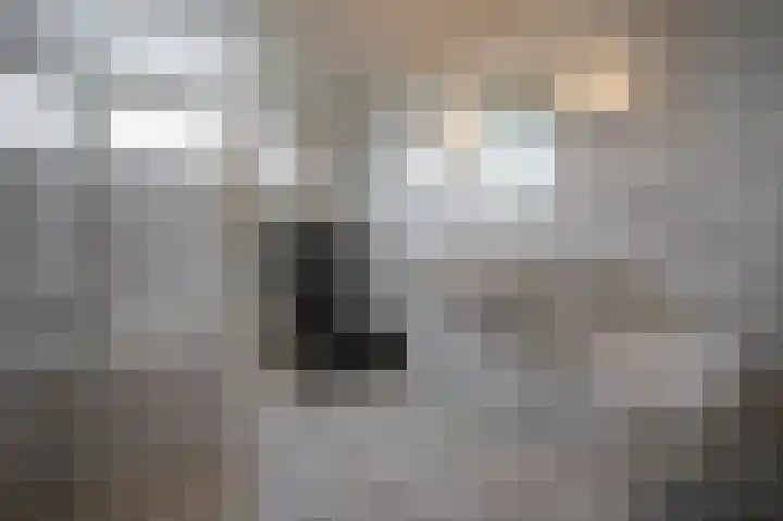 Wissengrachtweg 41 Hulsberg thumbnail 14