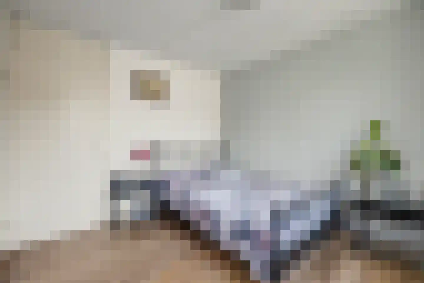 Wissenkerkepad 21 Arnhem thumbnail 21