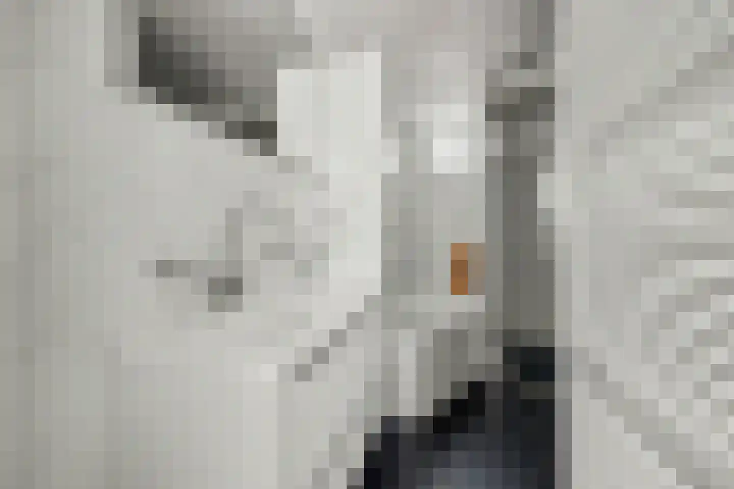 Wissenkerkepad 21 Arnhem thumbnail 23