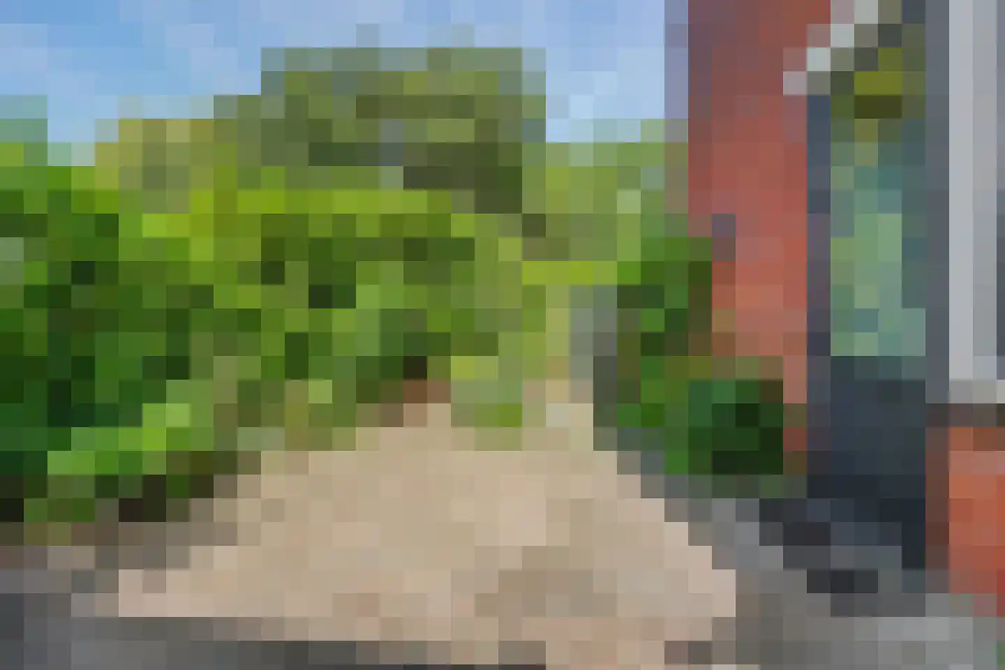 Wissenkerkepad 21 Arnhem thumbnail 28