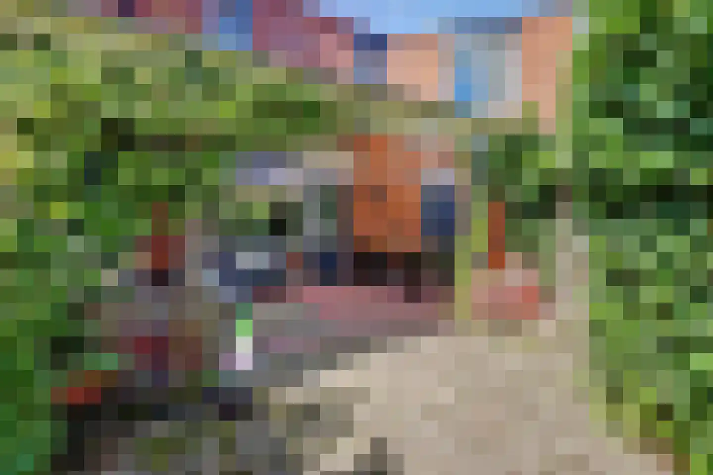 Wissenkerkepad 21 Arnhem thumbnail 31