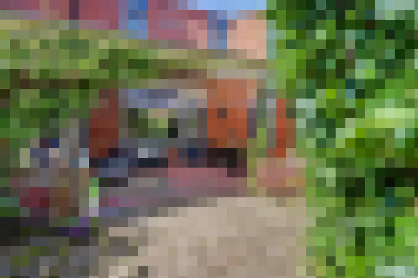 Wissenkerkepad 21 Arnhem thumbnail 32