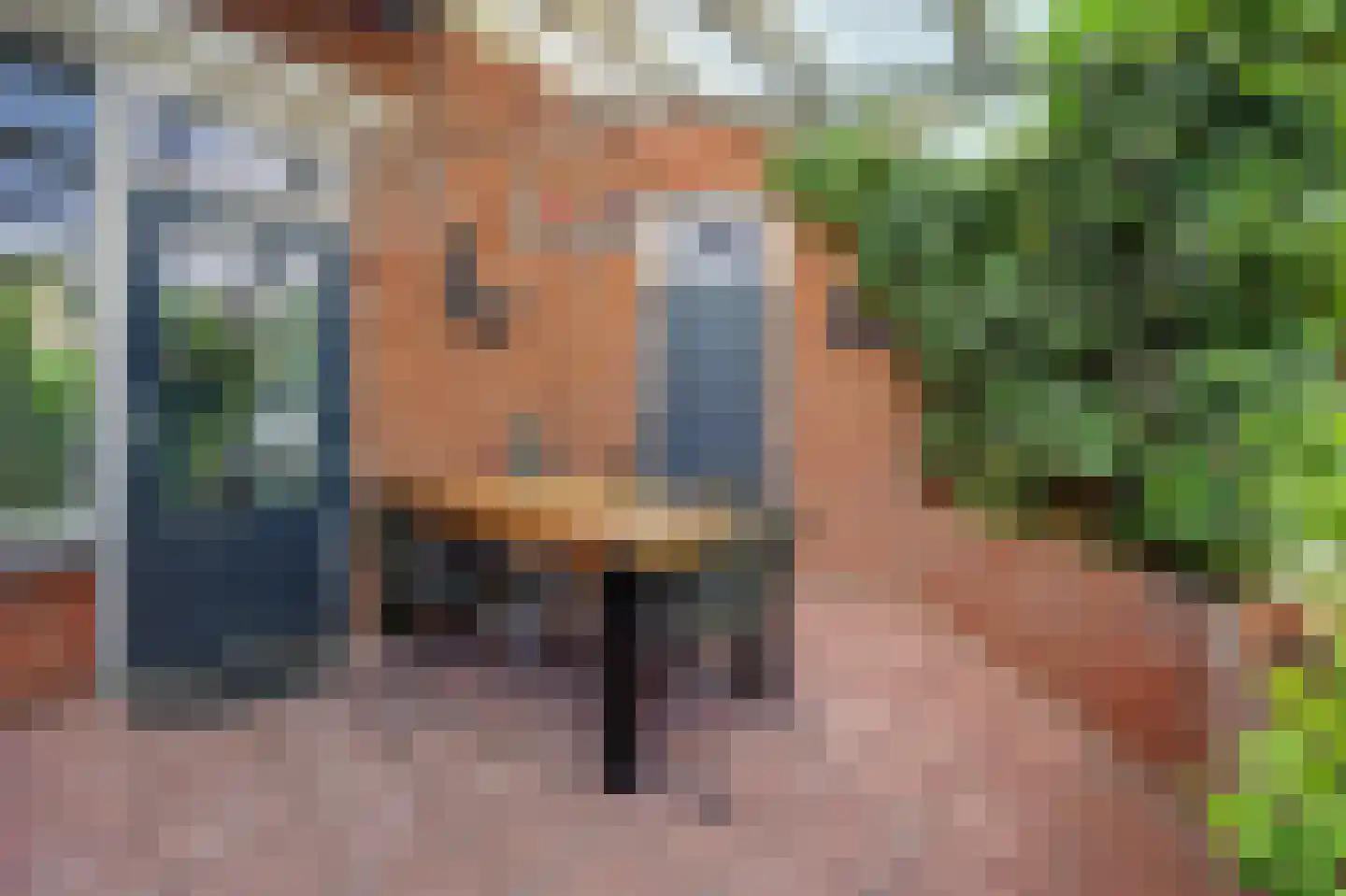 Wissenkerkepad 21 Arnhem thumbnail 35