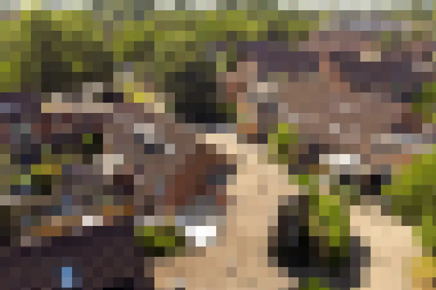 Wissenkerkepad 21 Arnhem thumbnail 41