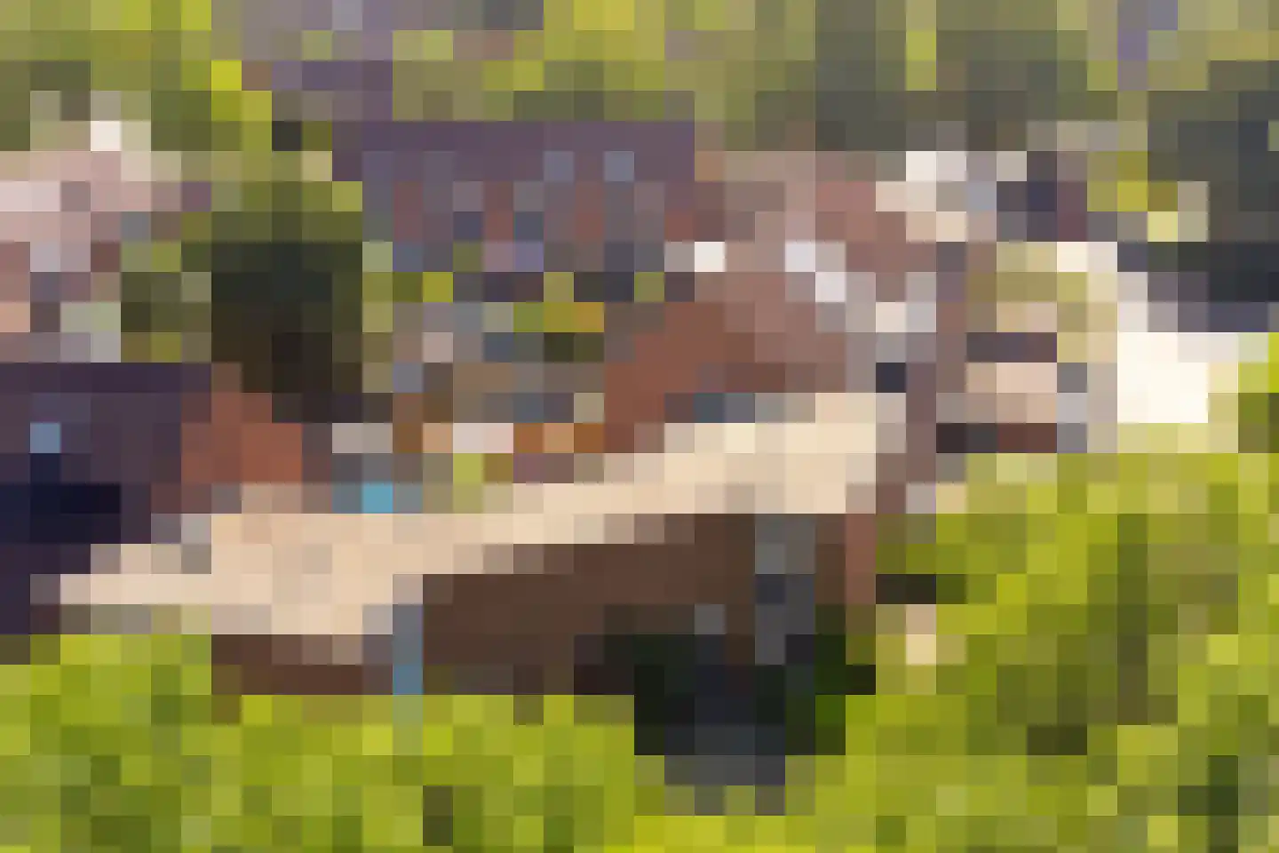 Wissenkerkepad 21 Arnhem thumbnail 44