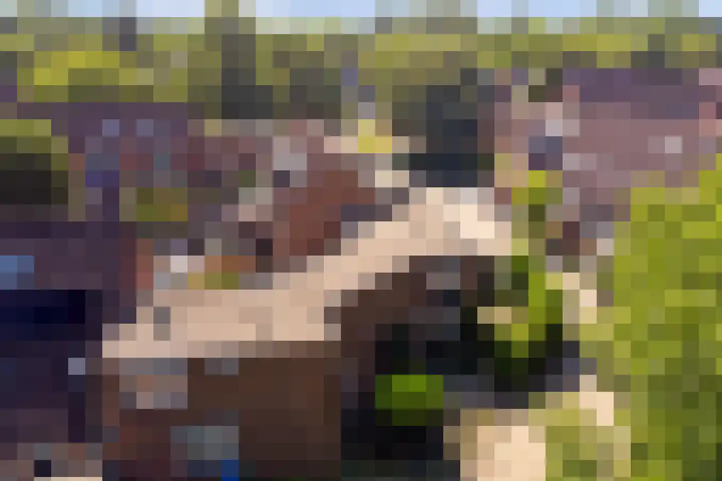Wissenkerkepad 21 Arnhem thumbnail 45