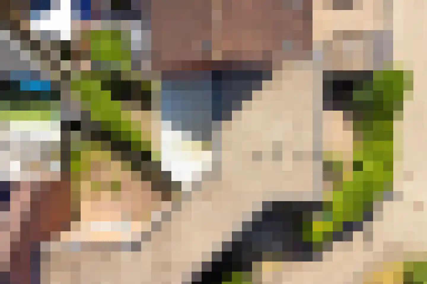 Wissenkerkepad 21 Arnhem thumbnail 46