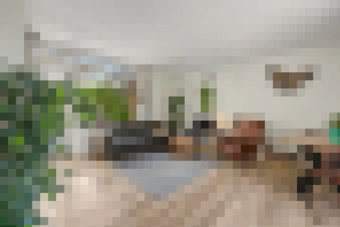 Wissenkerkepad 21 Arnhem thumbnail 5