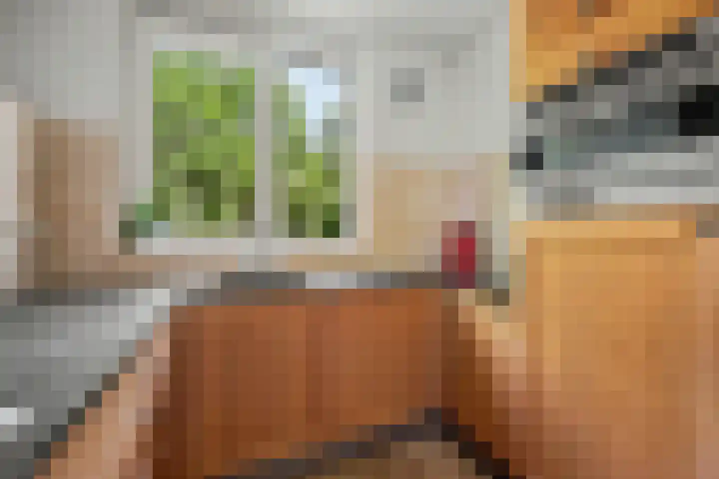 Wissenkerkepad 21 Arnhem thumbnail 9