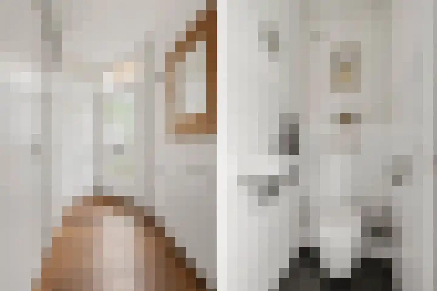 Wissenkerkepad 31 Arnhem thumbnail 8