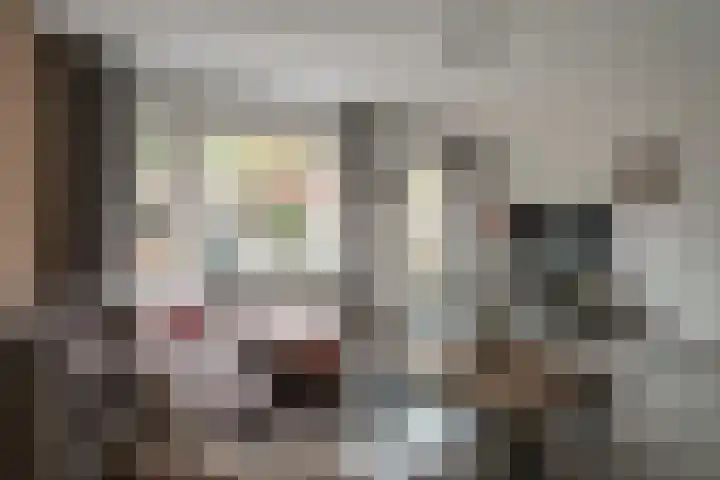Wissenkerkepad 40 Arnhem thumbnail 16