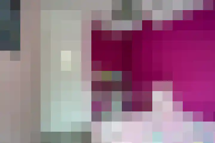 Wissenkerkepad 40 Arnhem thumbnail 31