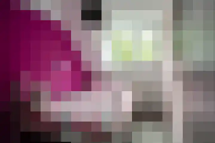 Wissenkerkepad 40 Arnhem thumbnail 32