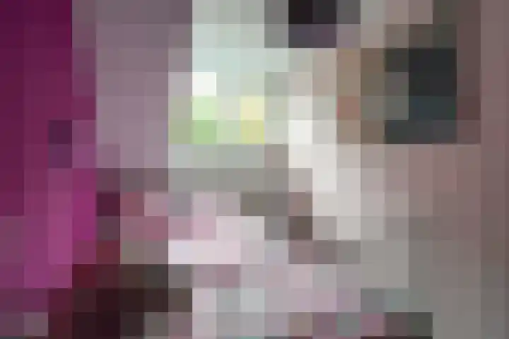Wissenkerkepad 40 Arnhem thumbnail 33